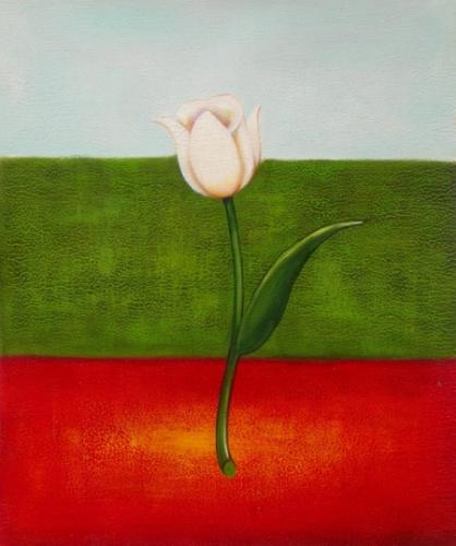 Italský tulipán